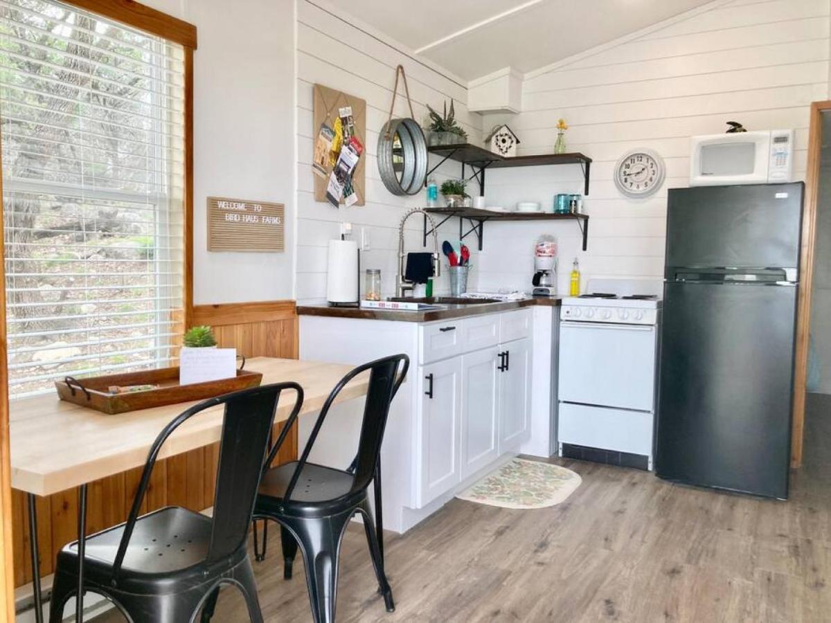 فيلا The Perch- Texas Tiny Haus With Amazing Views Spring Branch المظهر الخارجي الصورة